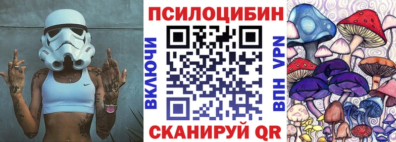 Галлюциногенные грибы прущие грибы Белая Холуница