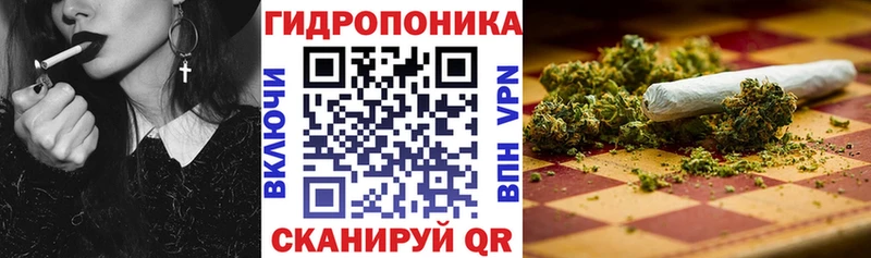 кракен зеркало  Белая Холуница  Канабис сатива 